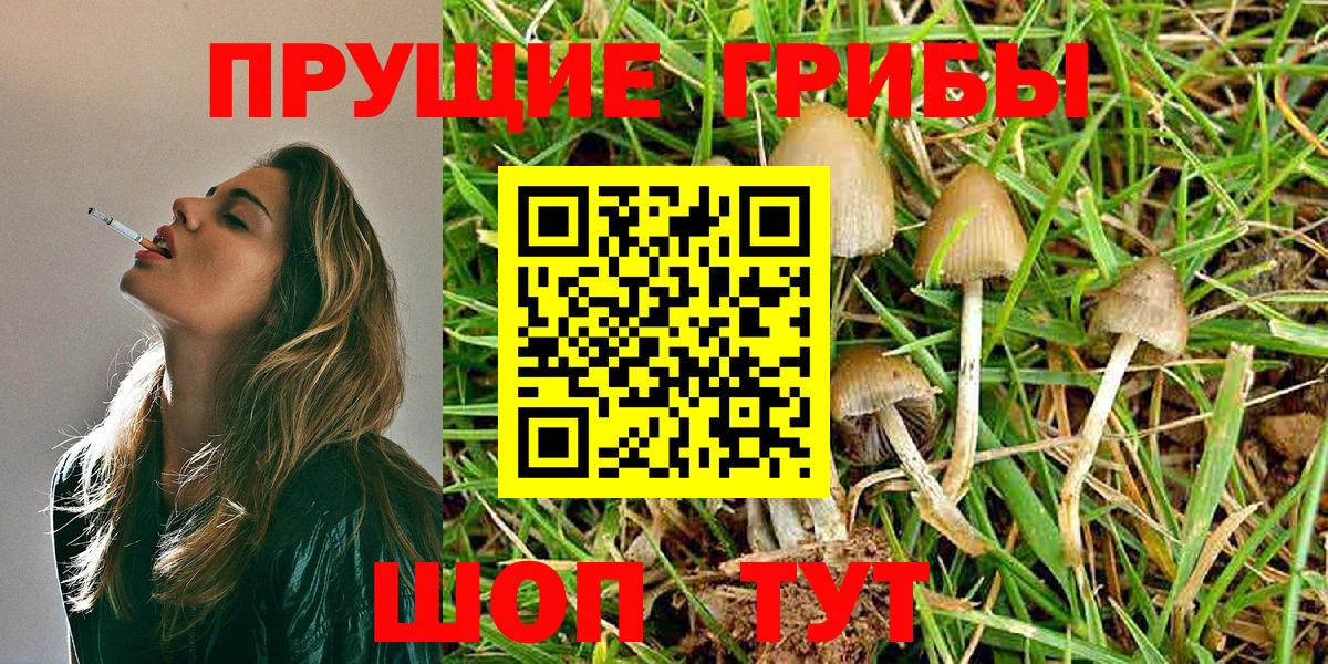 Галлюциногенные грибы GOLDEN TEACHER Туймазы